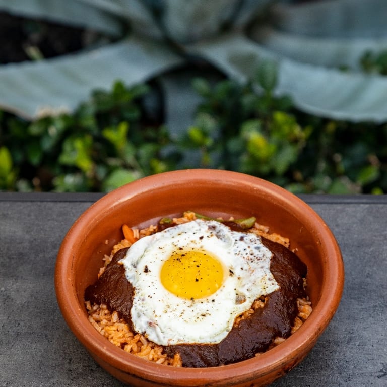 Mole Magic: A Mexican Delight